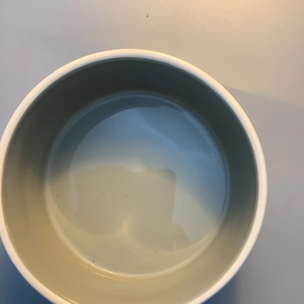 Dog Bowl Bark Like New 6” Ceramic Rae Dunn Artisan Collection